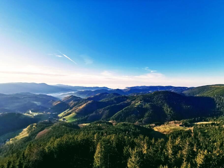 Traumhafte Maisonette-Wohnung Im Schwarzwald Freudenstadt Exteriör bild